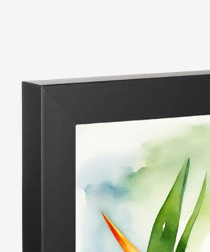 Gazania Watercolour Botanical Art Print - African Daily Treasure Flower Minimalist Framed Plant Wall Art 35 Gazania Watercolour Botanical Art Print - African Daily Treasure Flower Minimalist Framed Plant Wall Art - Image 12