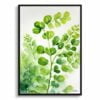 Northern Five-fingered Fern Watercolour Botanical Art Print - Adiantum Pedatum Framed Plant Wall Art 1 watercolour botanical print flowers adiantum pedatum front view