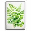 Northern Five-fingered Fern Watercolour Botanical Art Print - Adiantum Pedatum Minimalist Framed Plant Wall Art 2 watercolour botanical print flowers adiantum pedatum minimalist front view