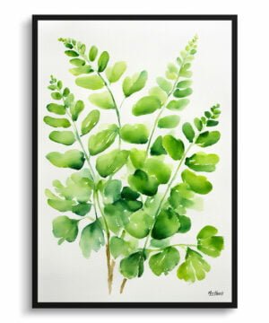 Northern Five-fingered Fern Watercolour Botanical Art Print - Adiantum Pedatum Minimalist Framed Plant Wall Art