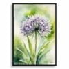 Ornamental onion (Allium Nigrum) Watercolour Botanical Art Print - Crow Wild Garlic Framed Plant Wall Art 1 watercolour botanical print flowers allium nigrum front view