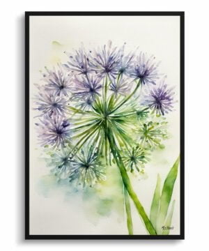 Ornamental onion (Allium Nigrum) Watercolour Botanical Art Print - Crow Wild Garlic Minimalist Framed Plant Wall Art
