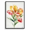Peruvian Lily of the Incas Watercolour Botanical Art Print - Alstroemeria Minimalist Framed Plant Wall Art 2 watercolour botanical print flowers alstroemeria minimalist front view