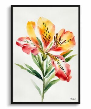 Peruvian Lily of the Incas Watercolour Botanical Art Print - Alstroemeria Minimalist Framed Plant Wall Art