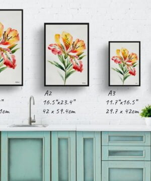 Peruvian Lily of the Incas Watercolour Botanical Art Print - Alstroemeria Minimalist Framed Plant Wall Art 17 Peruvian Lily of the Incas Watercolour Botanical Art Print - Alstroemeria Minimalist Framed Plant Wall Art - Image 4