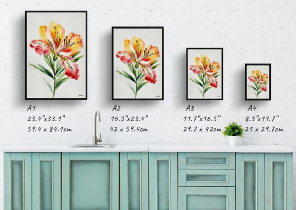 watercolour botanical print flowers alstroemeria minimalist print size comparison