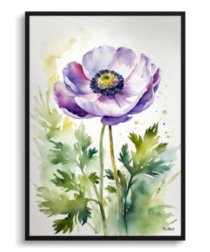 Windflower (Anemone) Watercolour Botanical Art Print - Thimbleweed Framed Plant Wall Art