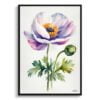 Windflower (Anemone) Watercolour Botanical Art Print - Thimbleweed Minimalist Framed Plant Wall Art 2 watercolour botanical print flowers anemone minimalist front view
