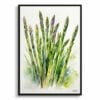 Asparagus Officinalis (Gijnlim) Watercolour Botanical Art Print - Framed Plant Wall Art 2 watercolour botanical print flowers asparagus officinalis gijnlim front view