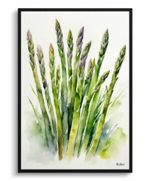 Asparagus Officinalis (Gijnlim) Watercolour Botanical Art Print - Framed Plant Wall Art