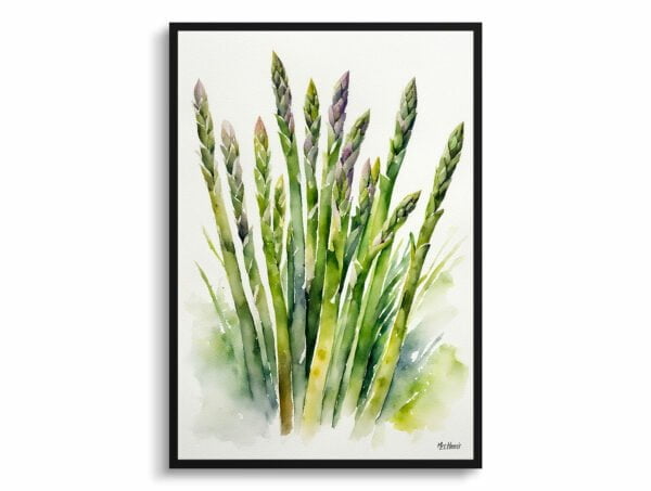 watercolour botanical print flowers asparagus officinalis gijnlim front view