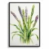 Asparagus Officinalis (Gijnlim) Watercolour Botanical Art Print - Minimalist Framed Plant Wall Art 2 watercolour botanical print flowers asparagus officinalis gijnlim minimalist front view