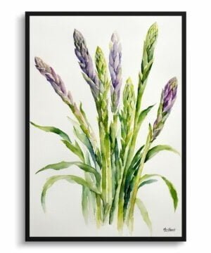 Asparagus Officinalis (Gijnlim) Watercolour Botanical Art Print - Minimalist Framed Plant Wall Art