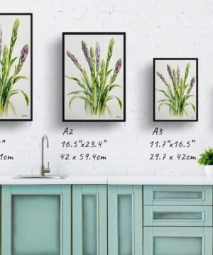 Asparagus Officinalis (Gijnlim) Watercolour Botanical Art Print - Minimalist Framed Plant Wall Art 17 Asparagus Officinalis (Gijnlim) Watercolour Botanical Art Print - Minimalist Framed Plant Wall Art - Image 4