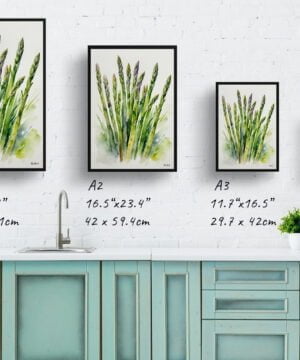 Asparagus Officinalis (Gijnlim) Watercolour Botanical Art Print - Framed Plant Wall Art 17 Asparagus Officinalis (Gijnlim) Watercolour Botanical Art Print - Framed Plant Wall Art - Image 4