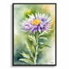 Michaelmas Daisy (Aster) Watercolour Botanical Art Print - Framed Plant Wall Art 1 watercolour botanical print flowers aster front view