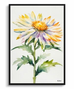 Michaelmas Daisy (Aster) Watercolour Botanical Art Print - Minimalist Framed Plant Wall Art