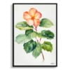 Begonia Watercolour Botanical Art Print - Wax semperflorens Minimalist Framed Plant Wall Art 2 watercolour botanical print flowers begonia minimalist front view