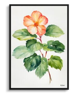 Begonia Watercolour Botanical Art Print - Wax semperflorens Minimalist Framed Plant Wall Art