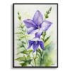 Bellflower (Campanula) Watercolour Botanical Art Print - Canterbury-bells Framed Plant Wall Art 1 watercolour botanical print flowers bellflower front view