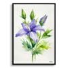 Bellflower (Campanula) Watercolour Botanical Art Print - Canterbury-bells Minimalist Framed Plant Wall Art 1 watercolour botanical print flowers bellflower minimalist front view