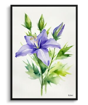 Bellflower (Campanula) Watercolour Botanical Art Print - Canterbury-bells Minimalist Framed Plant Wall Art
