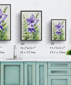 Bellflower (Campanula) Watercolour Botanical Art Print - Canterbury-bells Framed Plant Wall Art 17 Bellflower (Campanula) Watercolour Botanical Art Print - Canterbury-bells Framed Plant Wall Art - Image 4