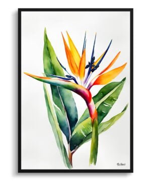 Bird of Paradise (Strelitzia Reginae) Watercolour Botanical Art Print - Crane Flower Minimalist Framed Plant Wall Art