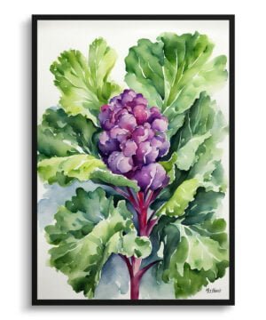 Brussels sprouts Watercolour Botanical Art Print - Brassica Oleracea Framed Plant Wall Art