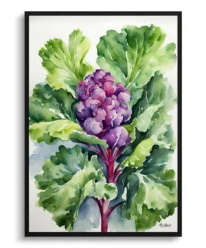 Brussels sprouts Watercolour Botanical Art Print - Brassica Oleracea Framed Plant Wall Art