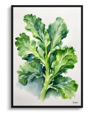 Brussels sprouts Watercolour Botanical Art Print - Brassica Oleracea Minimalist Framed Plant Wall Art