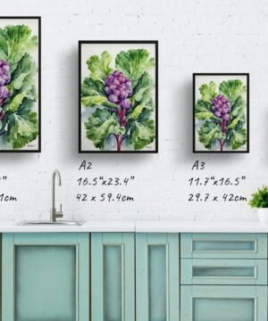 Brussels sprouts Watercolour Botanical Art Print - Brassica Oleracea Framed Plant Wall Art 17 Brussels sprouts Watercolour Botanical Art Print - Brassica Oleracea Framed Plant Wall Art - Image 4
