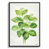 Siberian bugloss (Brunnera Macrophylla) Watercolour Botanical Art Print - Boraginaceae Minimalist Framed Plant Wall Art 1 watercolour botanical print flowers brunnera macrophylla betty bowring boraginaceae minimalist front view