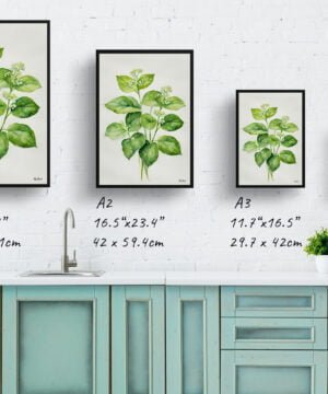 Siberian bugloss (Brunnera Macrophylla) Watercolour Botanical Art Print - Boraginaceae Minimalist Framed Plant Wall Art 17 Siberian bugloss (Brunnera Macrophylla) Watercolour Botanical Art Print - Boraginaceae Minimalist Framed Plant Wall Art - Image 4
