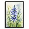 Wild Hyacinths (Camassia Leichtlinii) Watercolour Botanical Art Print - Camas Framed Plant Wall Art 2 watercolour botanical print flowers camassia leichtlinii subsp front view