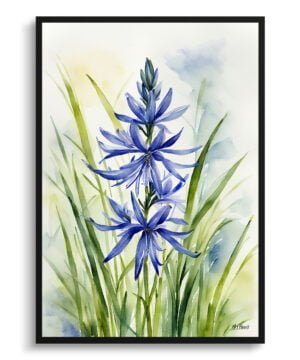 Wild Hyacinths (Camassia Leichtlinii) Watercolour Botanical Art Print - Camas Framed Plant Wall Art
