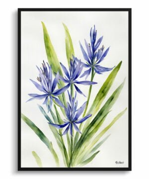 Wild Hyacinths (Camassia Leichtlinii) Watercolour Botanical Art Print - Camas Minimalist Framed Plant Wall Art