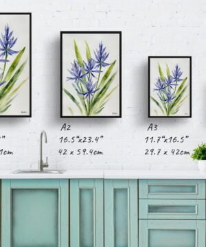 Wild Hyacinths (Camassia Leichtlinii) Watercolour Botanical Art Print - Camas Minimalist Framed Plant Wall Art 17 Wild Hyacinths (Camassia Leichtlinii) Watercolour Botanical Art Print - Camas Minimalist Framed Plant Wall Art - Image 4