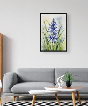watercolour botanical print flowers camassia leichtlinii subsp office