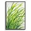 Japanese Sedge Watercolour Botanical Art Print - Carex Oshimensis Everillo Framed Plant Wall Art 1 watercolour botanical print flowers carex oshimensis everillo front view