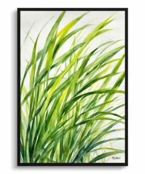 Japanese Sedge Watercolour Botanical Art Print - Carex Oshimensis Everillo Framed Plant Wall Art