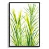 watercolour botanical print flowers carex oshimensis everillo minimalist front view