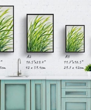 Japanese Sedge Watercolour Botanical Art Print - Carex Oshimensis Everillo Framed Plant Wall Art 17 Japanese Sedge Watercolour Botanical Art Print - Carex Oshimensis Everillo Framed Plant Wall Art - Image 4