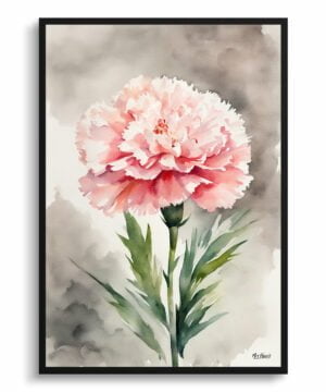 Pink Carnation Watercolour Botanical Art Print - Dianthus Gillyflower Framed Plant Wall Art