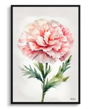 Pink Carnation Watercolour Botanical Art Print - Dianthus Gillyflower Minimalist Framed Plant Wall Art