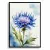 Cornflower Watercolour Botanical Art Print - Centaurea cyanus Blue Boy Framed Plant Wall Art 2 watercolour botanical print flowers centaurea cyanus blue boy front view