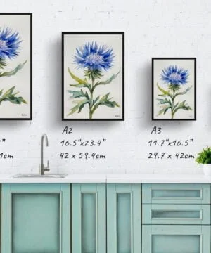 Cornflower Watercolour Botanical Art Print - Centaurea cyanus Blue Boy Minimalist Framed Plant Wall Art 17 Cornflower Watercolour Botanical Art Print - Centaurea cyanus Blue Boy Minimalist Framed Plant Wall Art - Image 4
