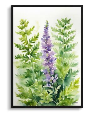 Hairy lip fern (Cheilanthes Lanosa) Watercolour Botanical Art Print - Woolly Fern Framed Plant Wall Art
