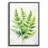 Hairy lip fern (Cheilanthes Lanosa) Watercolour Botanical Art Print - Woolly Fern Minimalist Framed Plant Wall Art 1 watercolour botanical print flowers cheilanthes lanosa minimalist front view