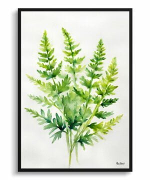 Hairy lip fern (Cheilanthes Lanosa) Watercolour Botanical Art Print - Woolly Fern Minimalist Framed Plant Wall Art
